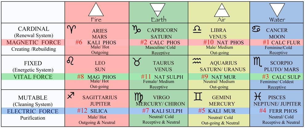 Astro Chemico Physiological And Chromatic Digital Chart